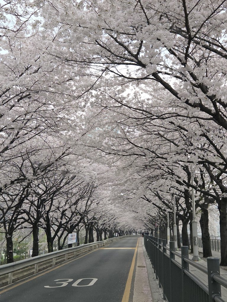 달래🌿 tweet media