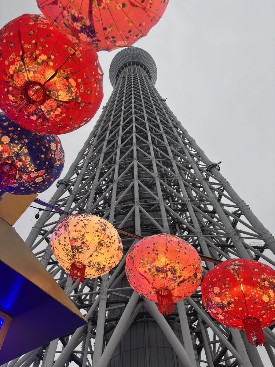 たてﾉﾘよこ🐬🌐🍢 tweet media