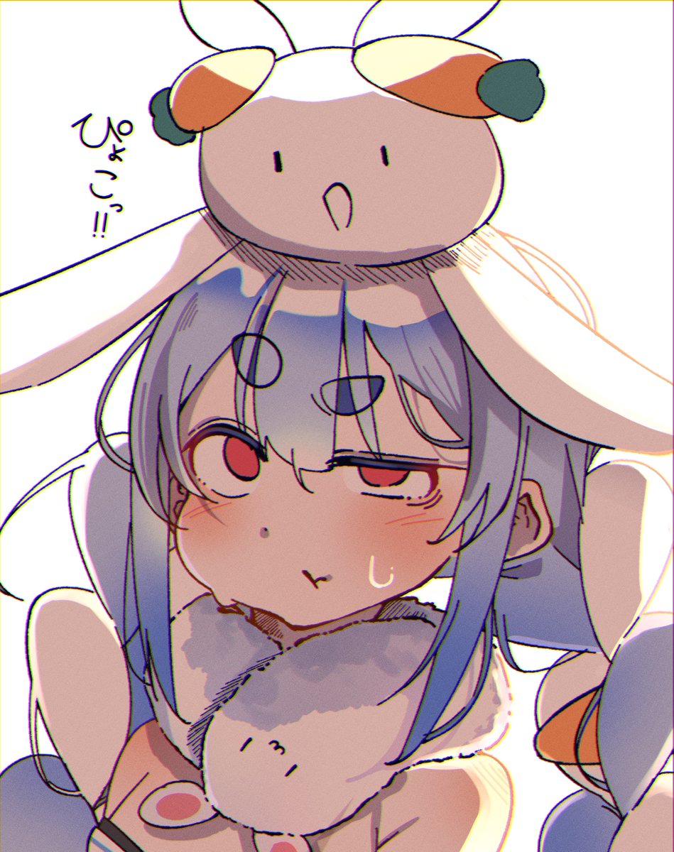 こひまるの介 tweet media