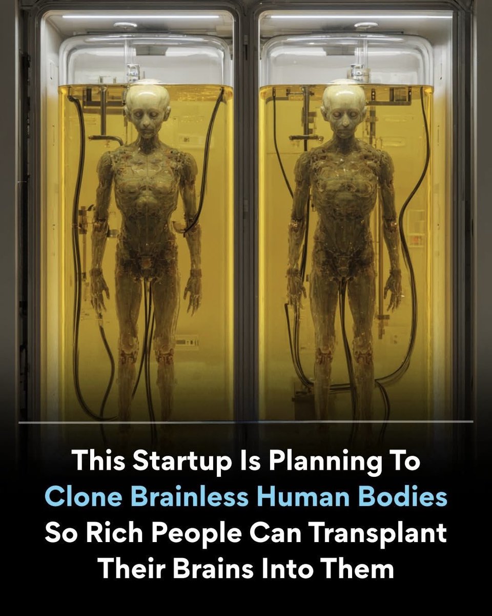 Night Sky Now tweet media