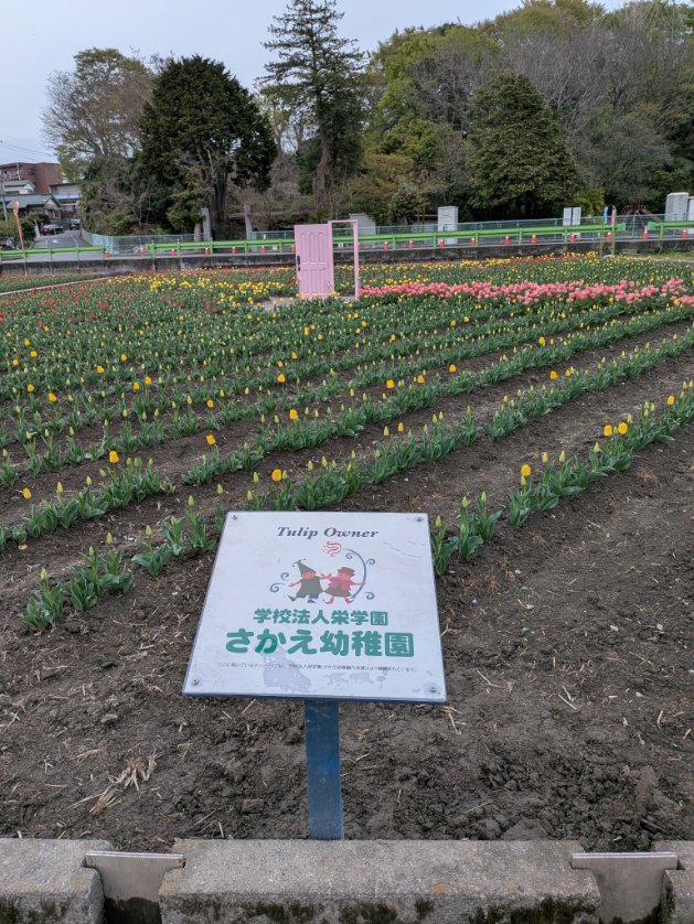 まめうまし tweet media