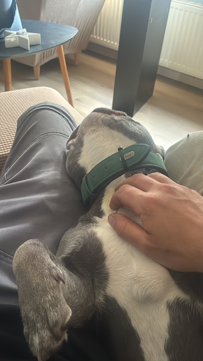 chevy smallblocks tweet media