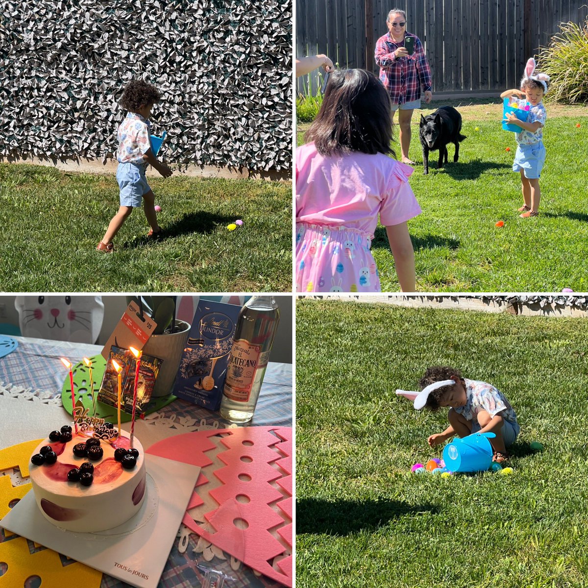 roboraygun's tweet photo. Celebrating Easter on Saturday with Shawn’s side! Kids had fun Easter Egg hunting and I also was surprised with an early Birthday cake! Thanks again all 😊! https://t.co/Ou0sOvZ6Sa