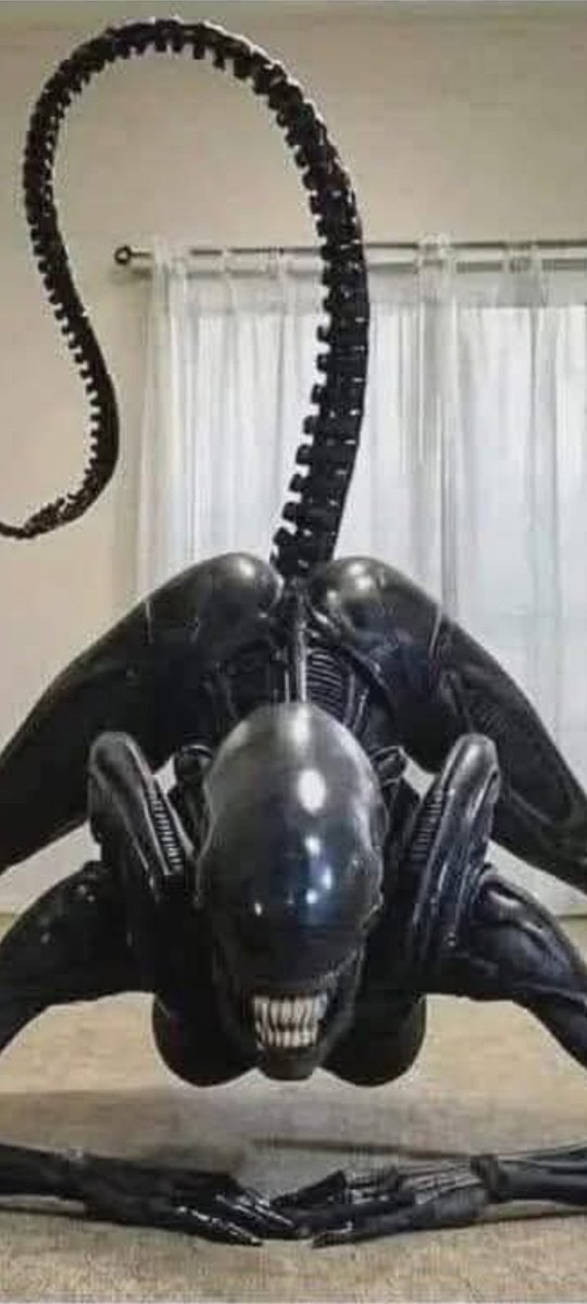 PhotonicMoses tweet media