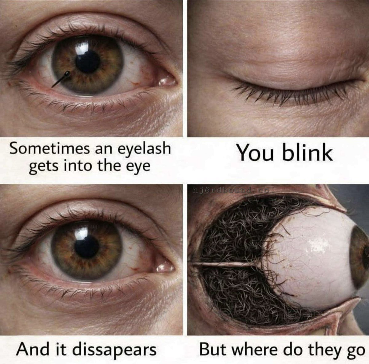 chidera Silas tweet media