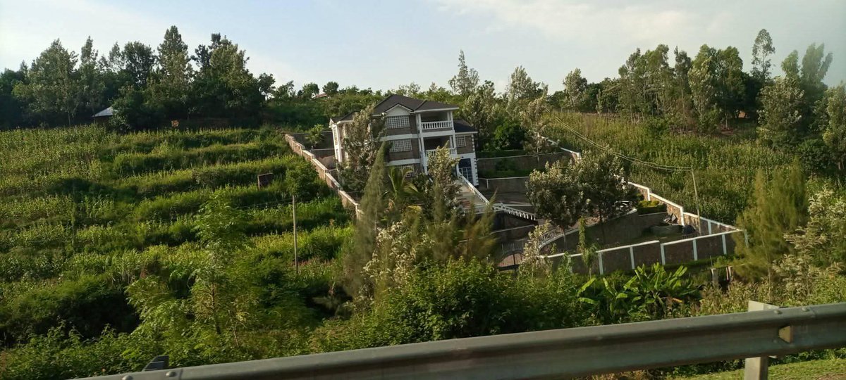 Ignatius tweet media