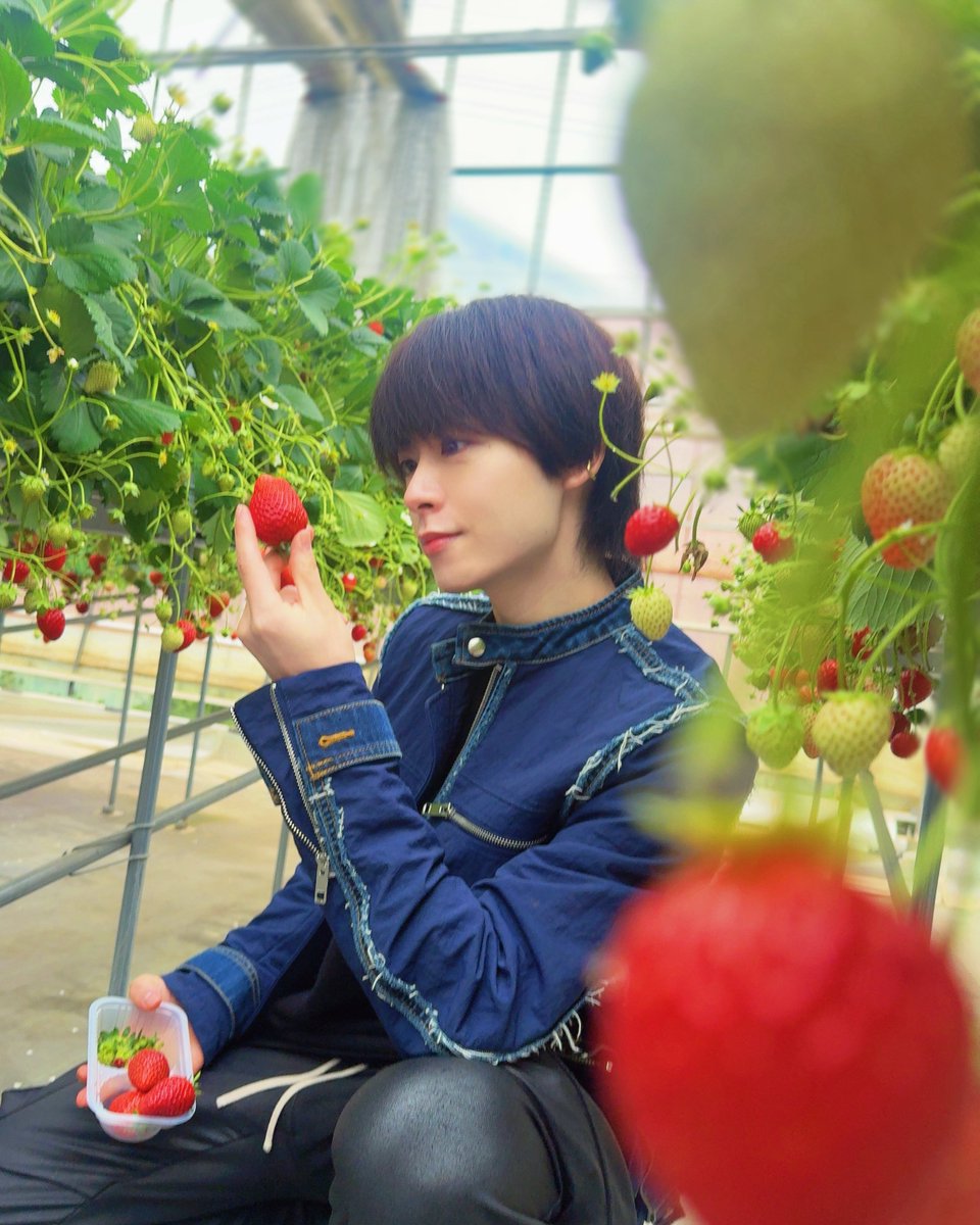 kumakaito612's tweet photo. いちご33個食べた🍓🧸
あまくてしあわせすぎる季節だね♡ https://t.co/oozikDqNc5
