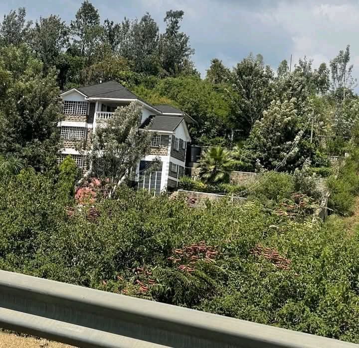 Ignatius tweet media