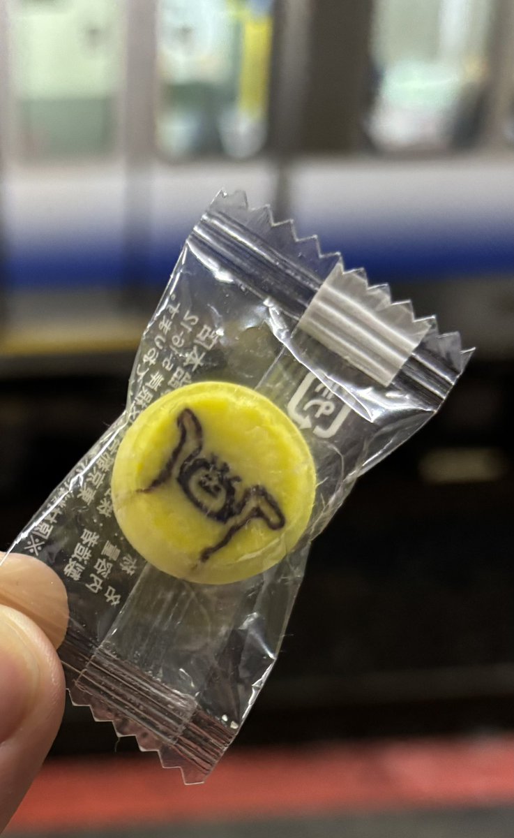 cerezoe46's tweet photo. 今回のツアー「日々散漫」、にしなのエレキ演奏少なめ？ https://t.co/m3vGeROWjw