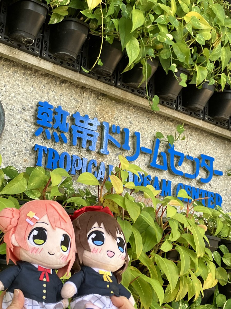 ぐっちー@虹ヶ咲8th大阪day1参加 tweet media