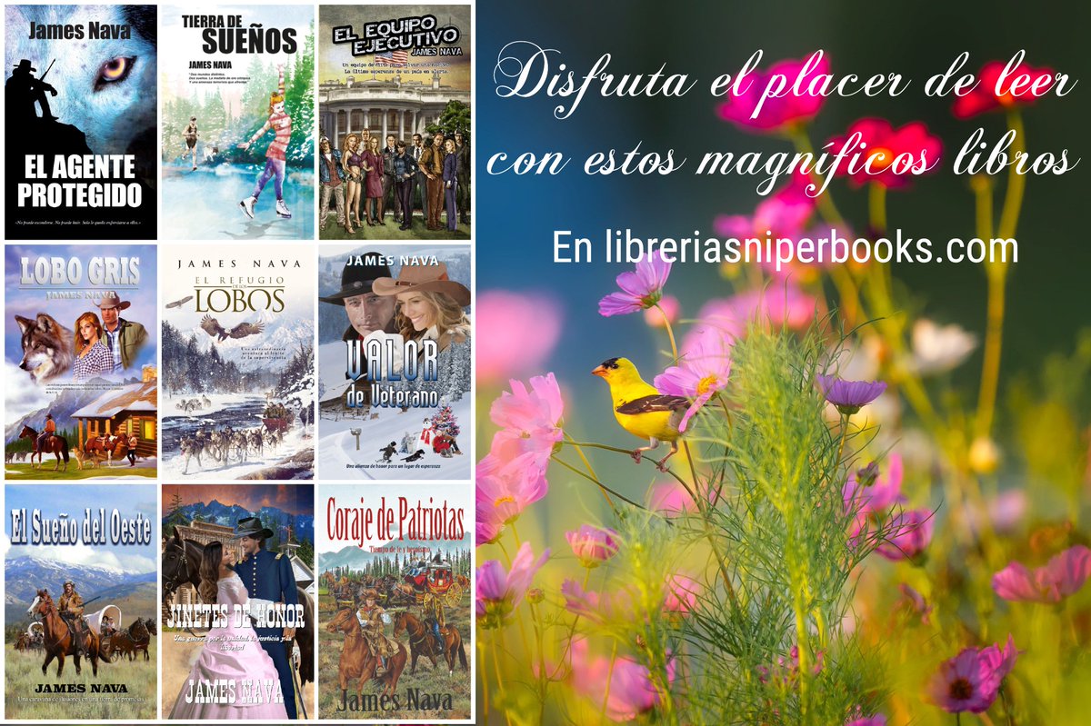 James Nava tweet media