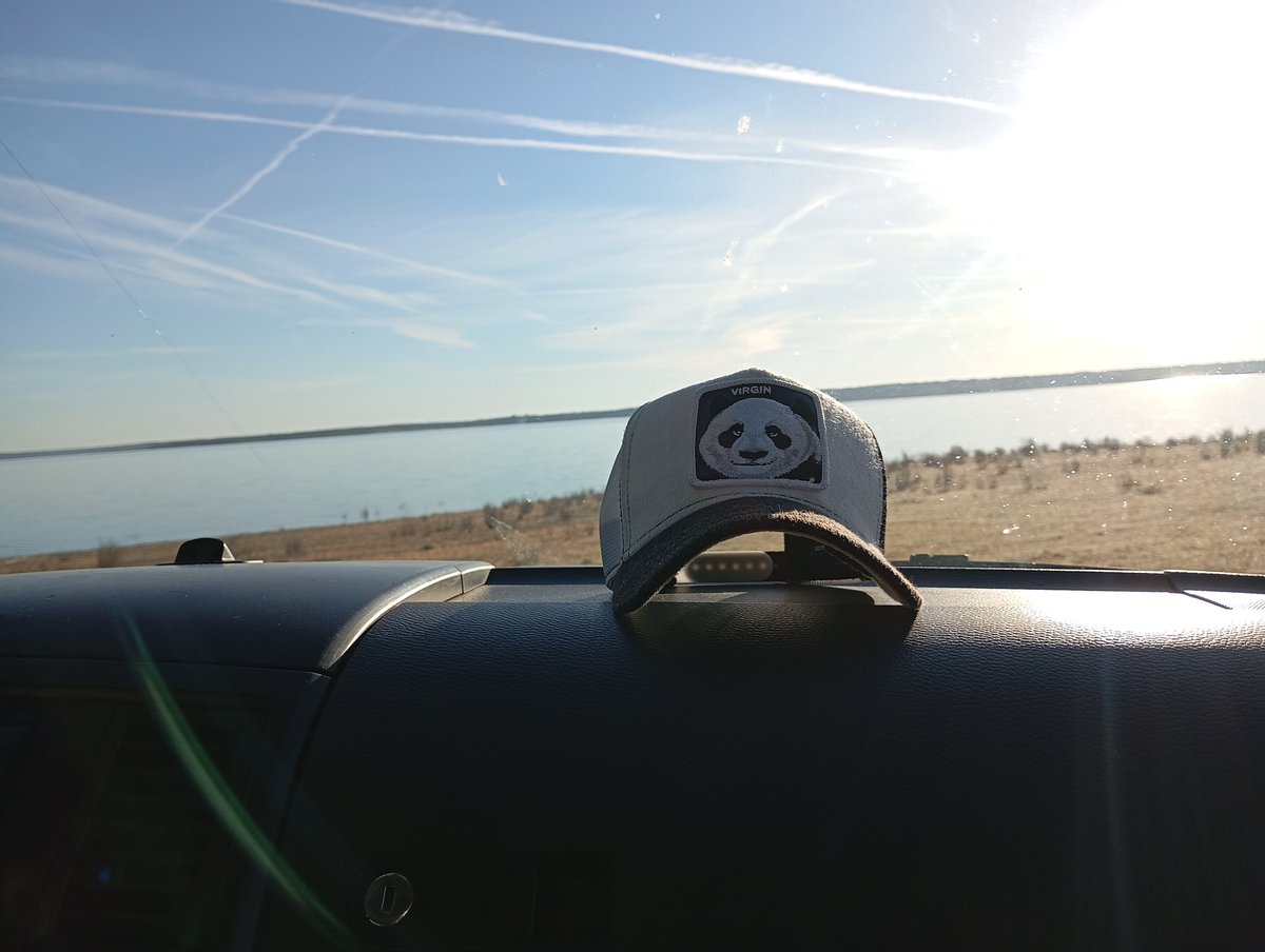 🤍🖤 Espíritu de Xátiva tweet media