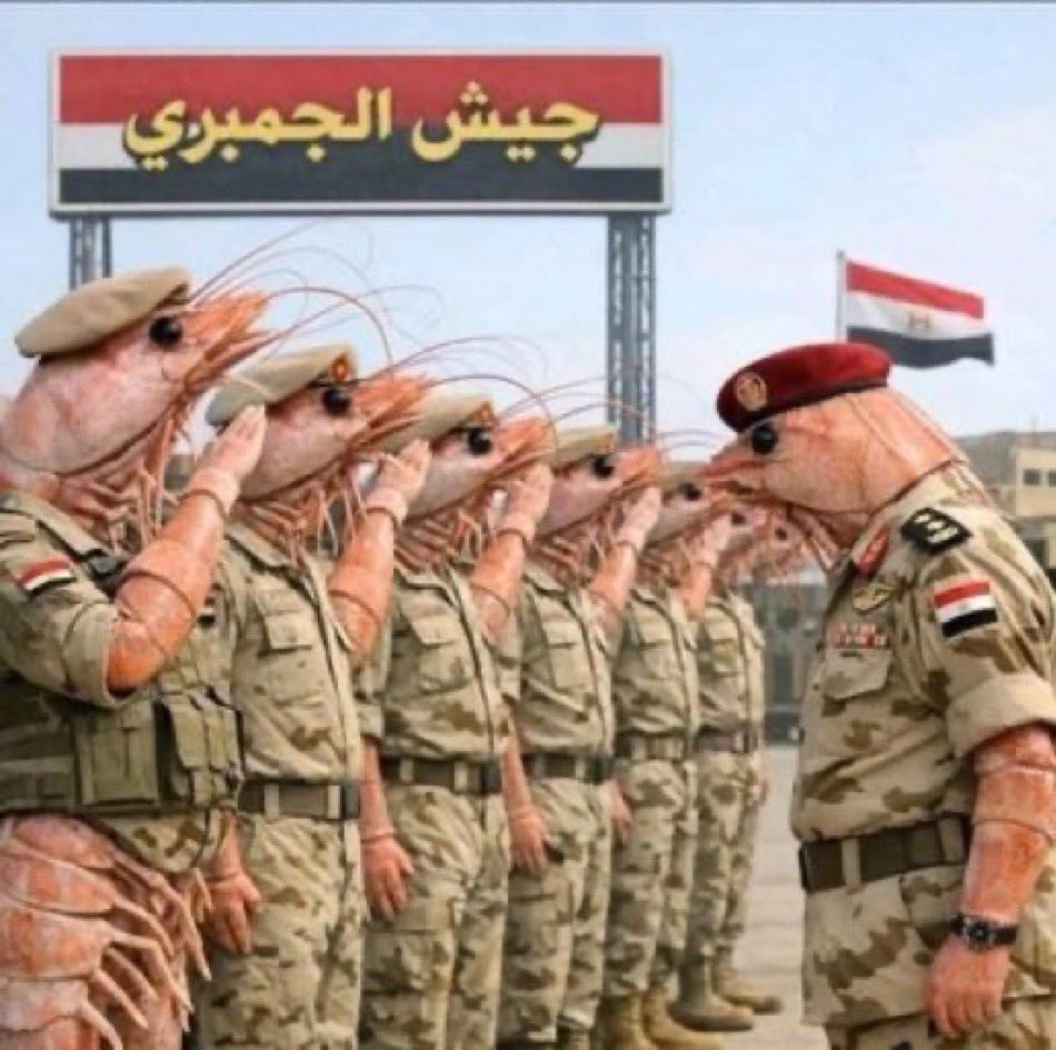 🤬⚠️🔞شقير tweet media