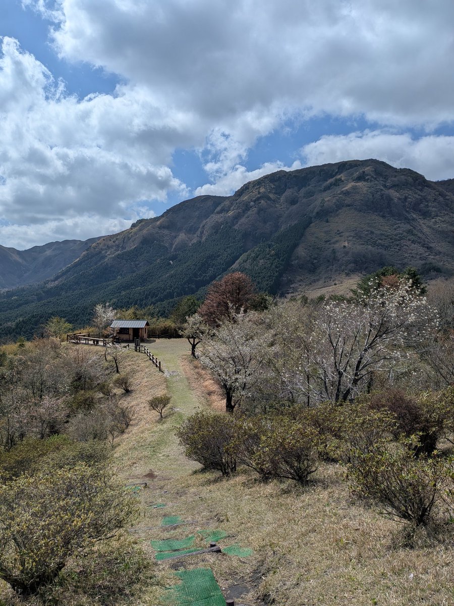 ちょーたい3/28ずとまよ福岡 tweet media