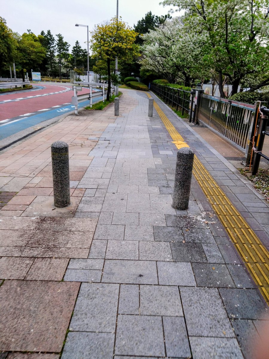 子供達とポケモンGO_jaccs tweet media