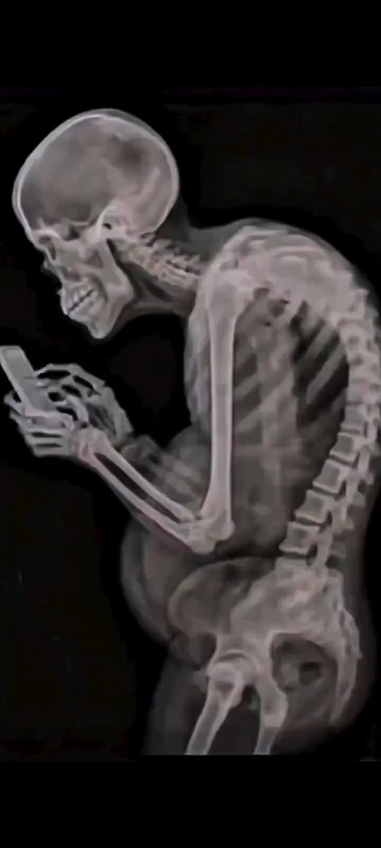 PhotonicMoses tweet media