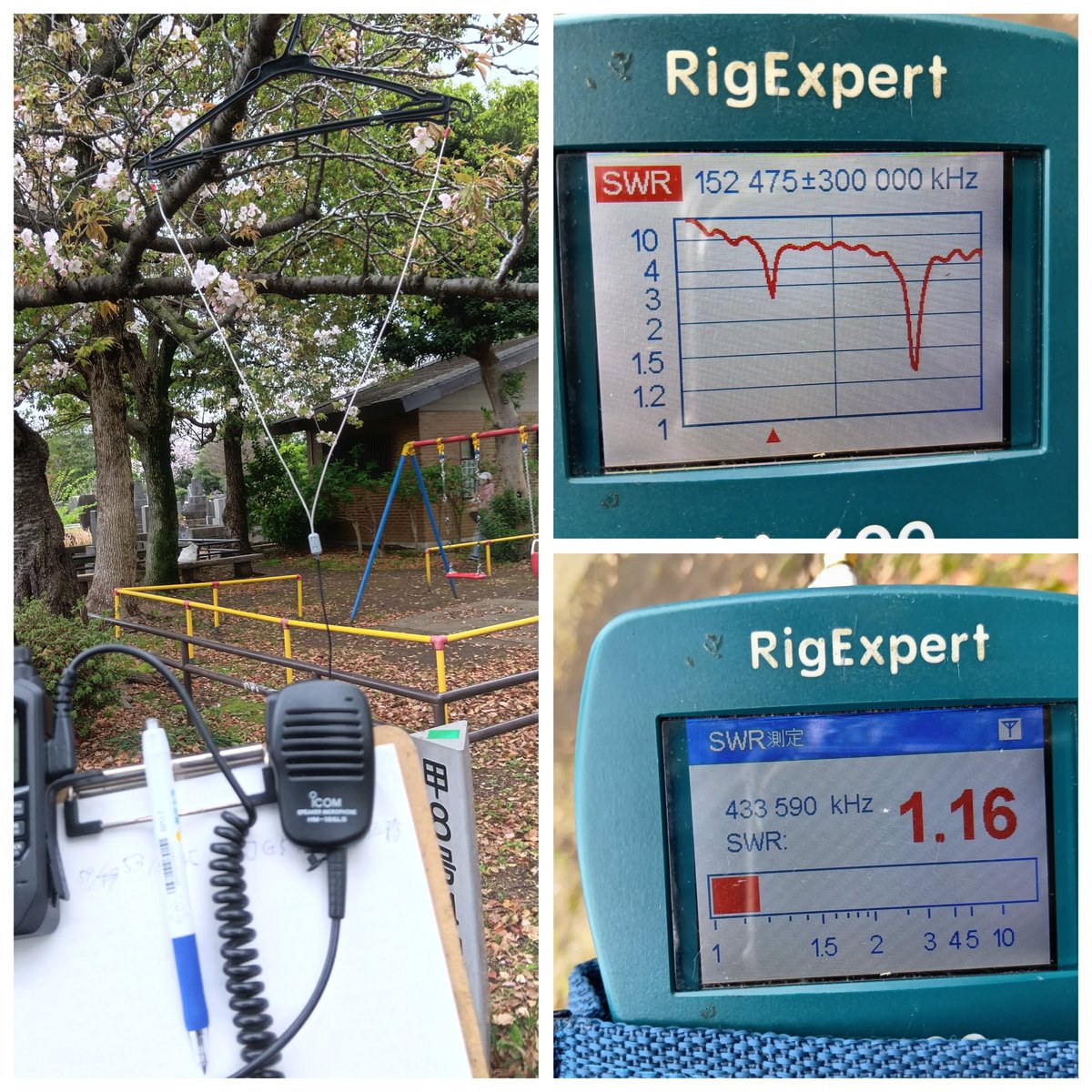 ぴっとん tweet media