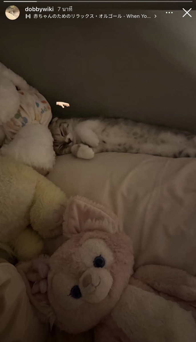 𝙼̷𝚘̷𝚗̷𝚜̷𝚝̷𝚎̷𝚛̷ 𝙺̷𝚠̷𝚘̷𝚗̷𝚐̷ tweet media