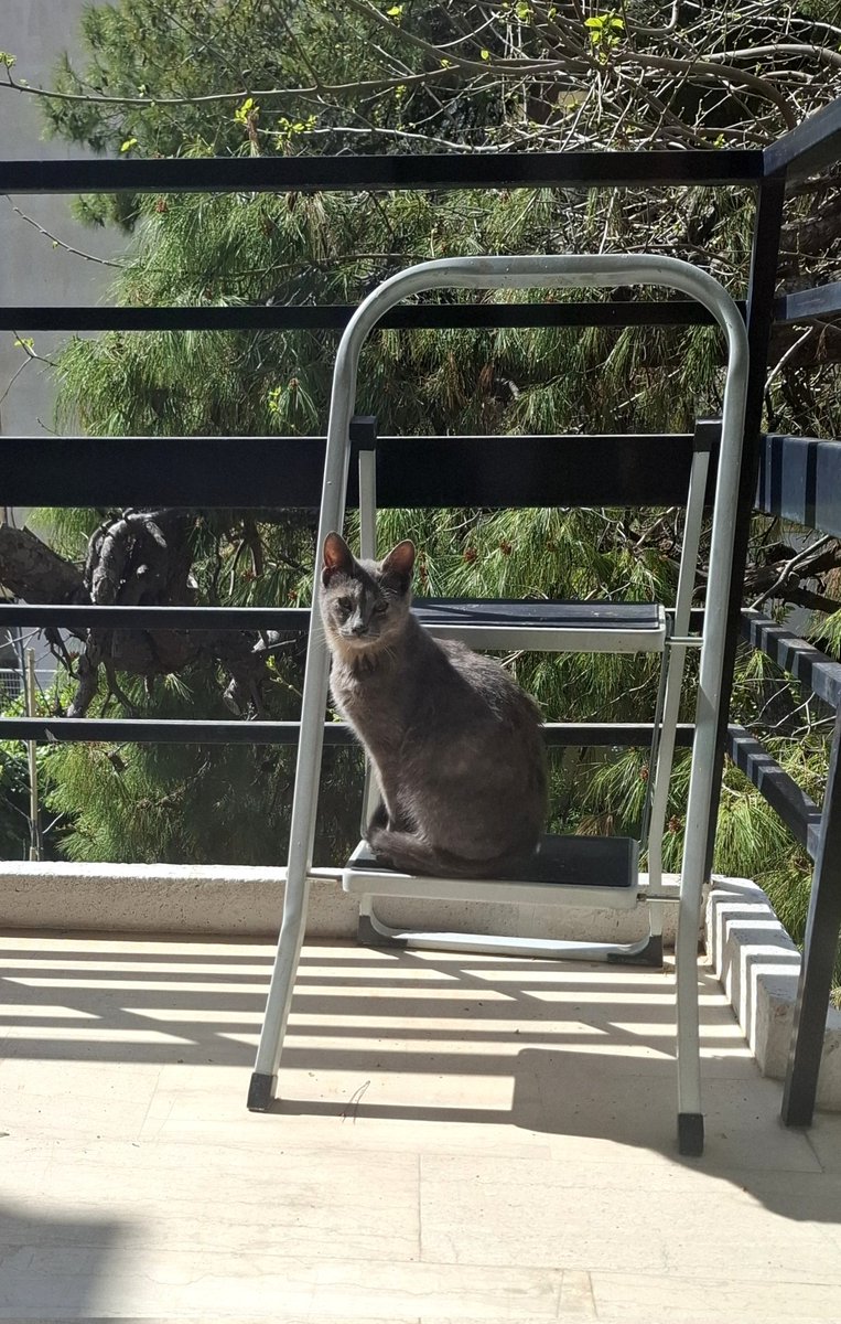 ανωmαlού tweet media