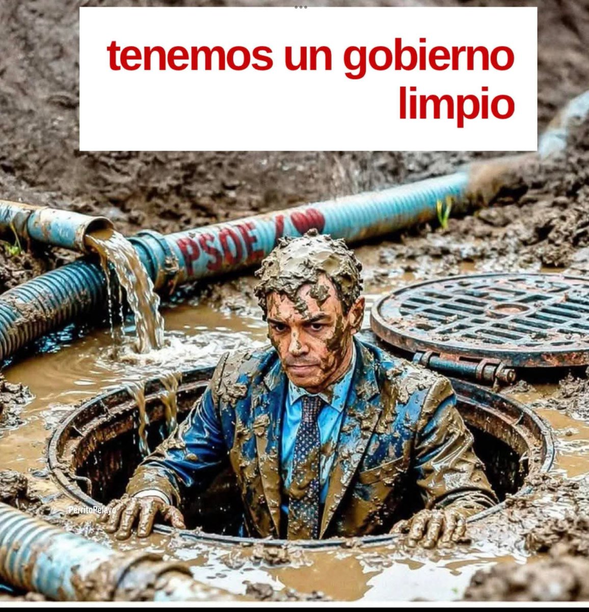 'SALF'🐿 tweet media