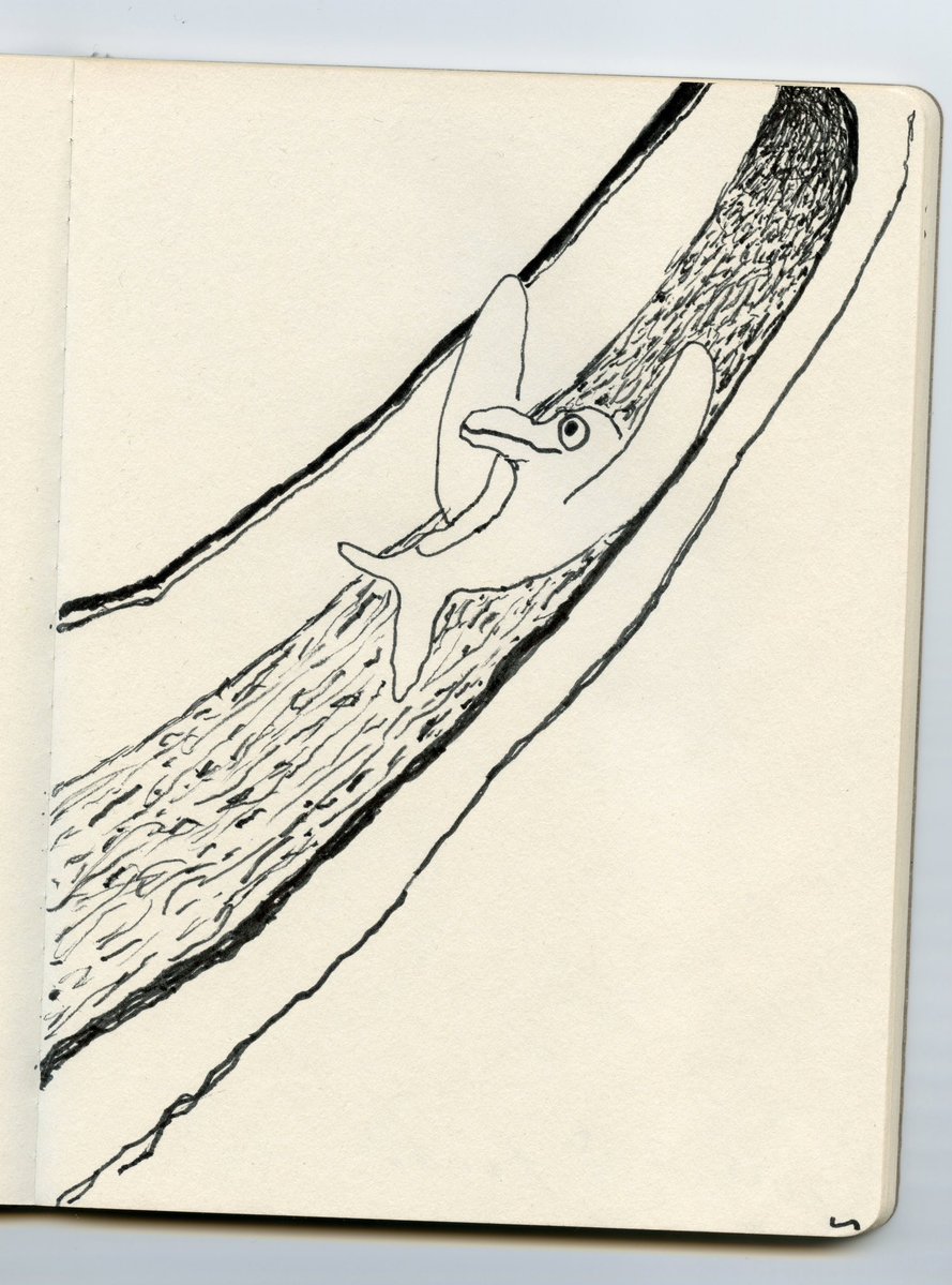 Daisuke Kondo tweet media