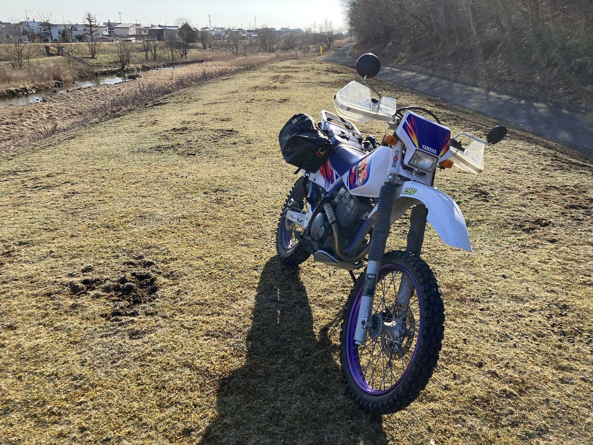 IGAPON (寛骨臼骨折＋坐骨神経痛リハビリ中) tweet media