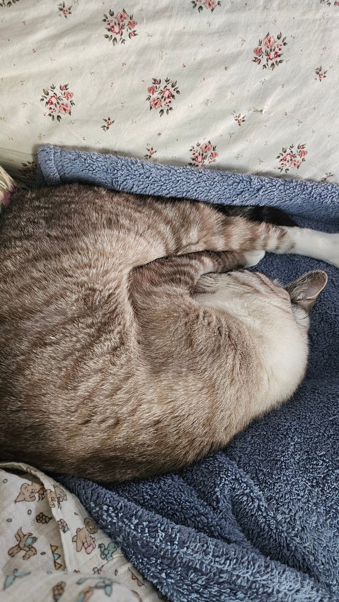 강나루 건너 밀밭길을... tweet media