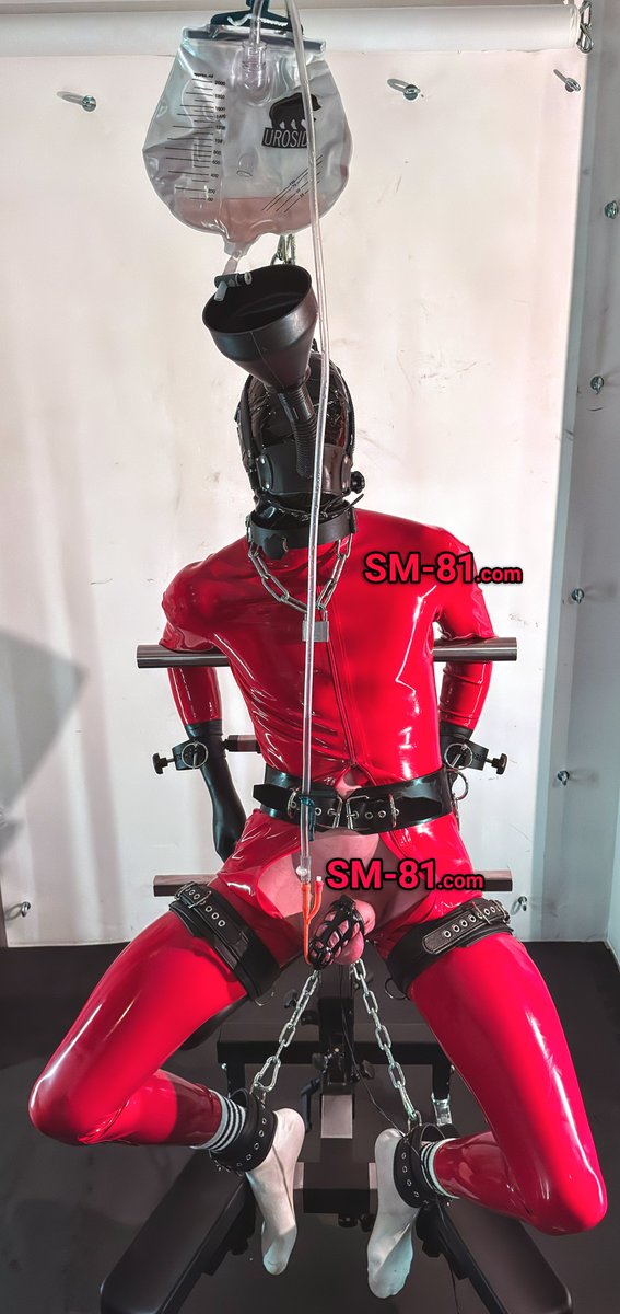 SM-81 tweet media