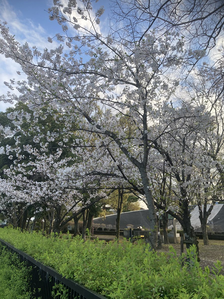 ねる@モンハンNow特級ヘタハン tweet media