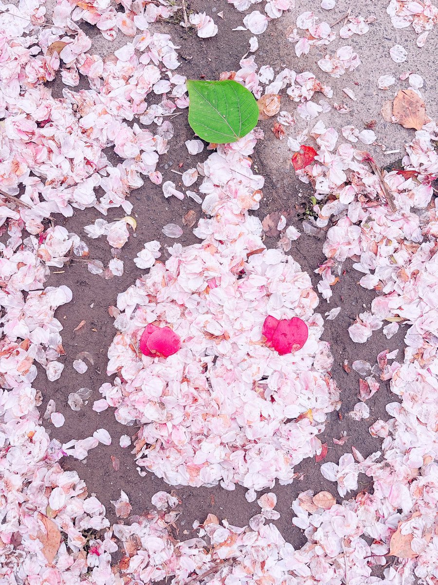 きら² tweet media