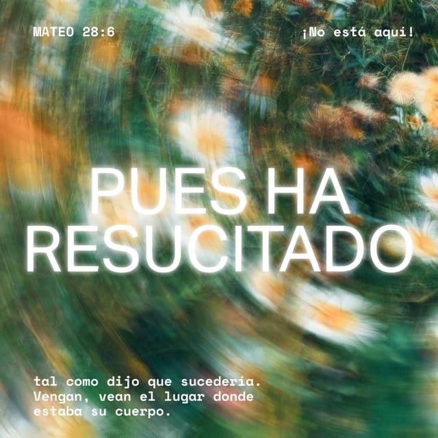 Daniel Hofkamp (@danielhofkamp) on Twitter photo 