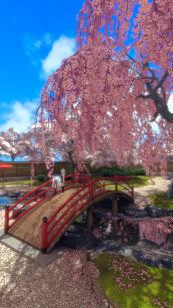 🐾JUNON/じゅのん tweet media