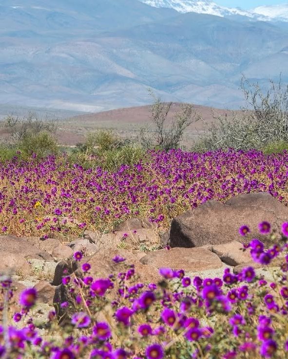 Neural Space tweet media