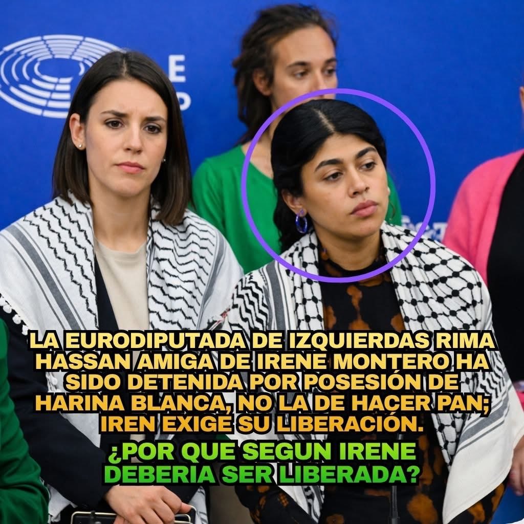 Zolxoníssimo tweet media