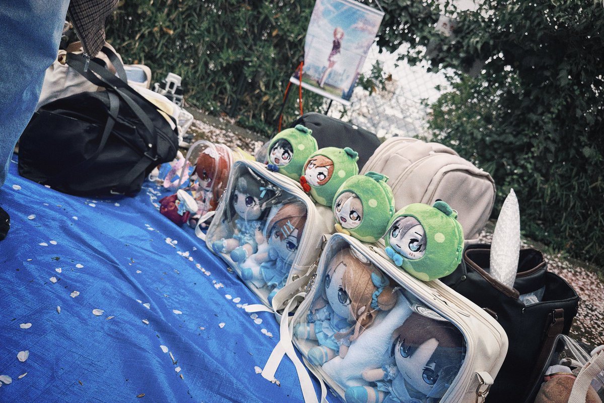 平屋芝 tweet media