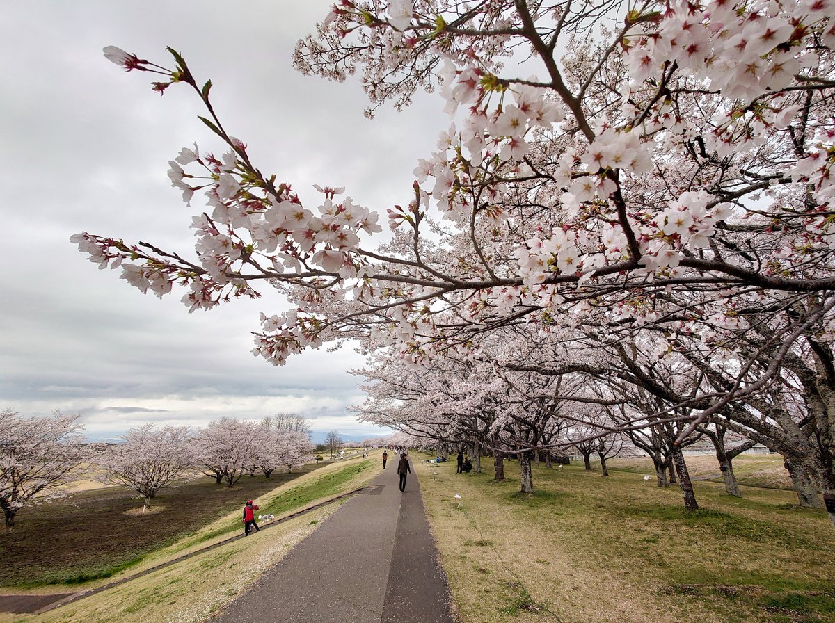 hirohero tweet media