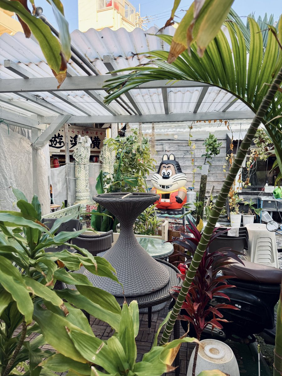 🅜🅢🅒 tweet media