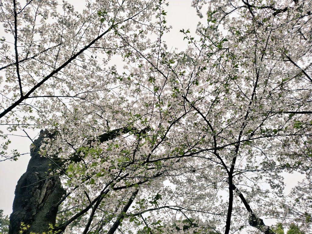 なおたん＠通常営業 tweet media