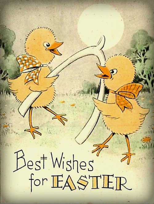 Discover History tweet media