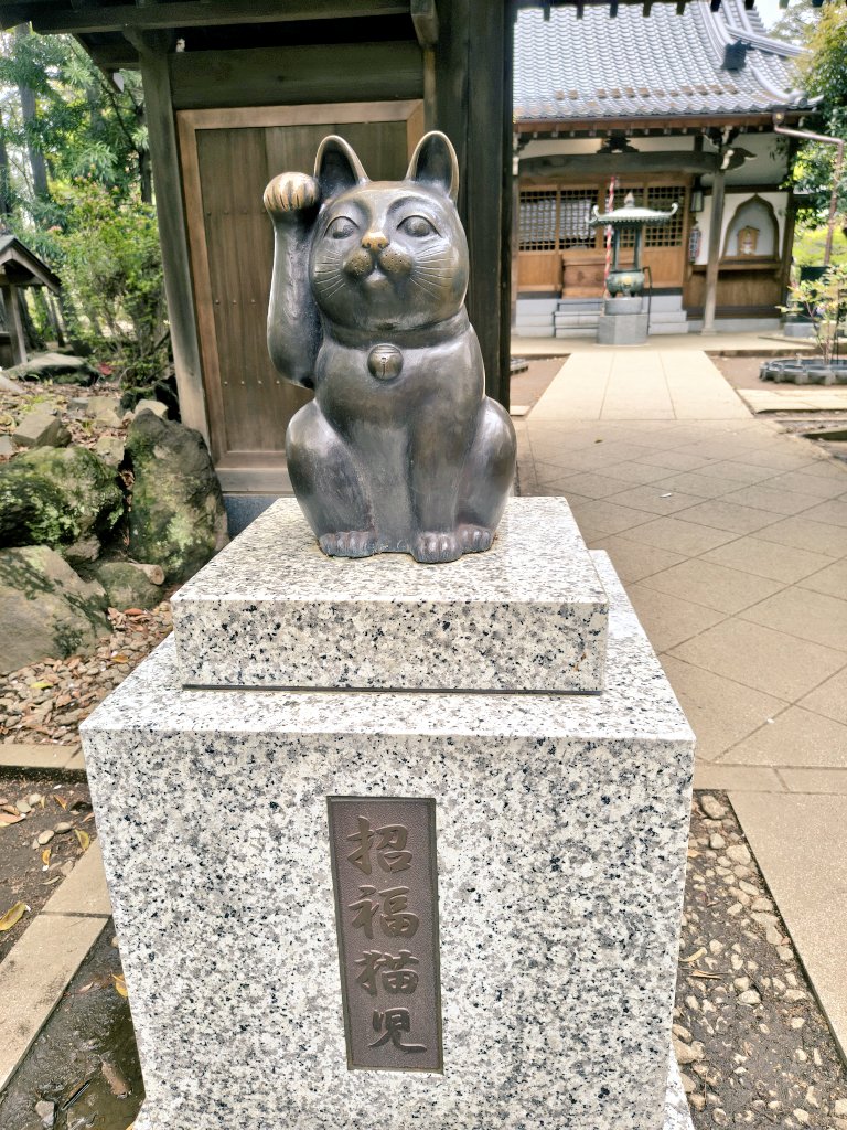 なおたん＠通常営業 tweet media