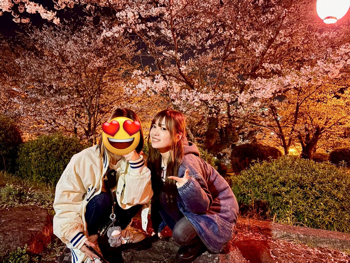 えー🐻🍯🐰⭐ tweet media