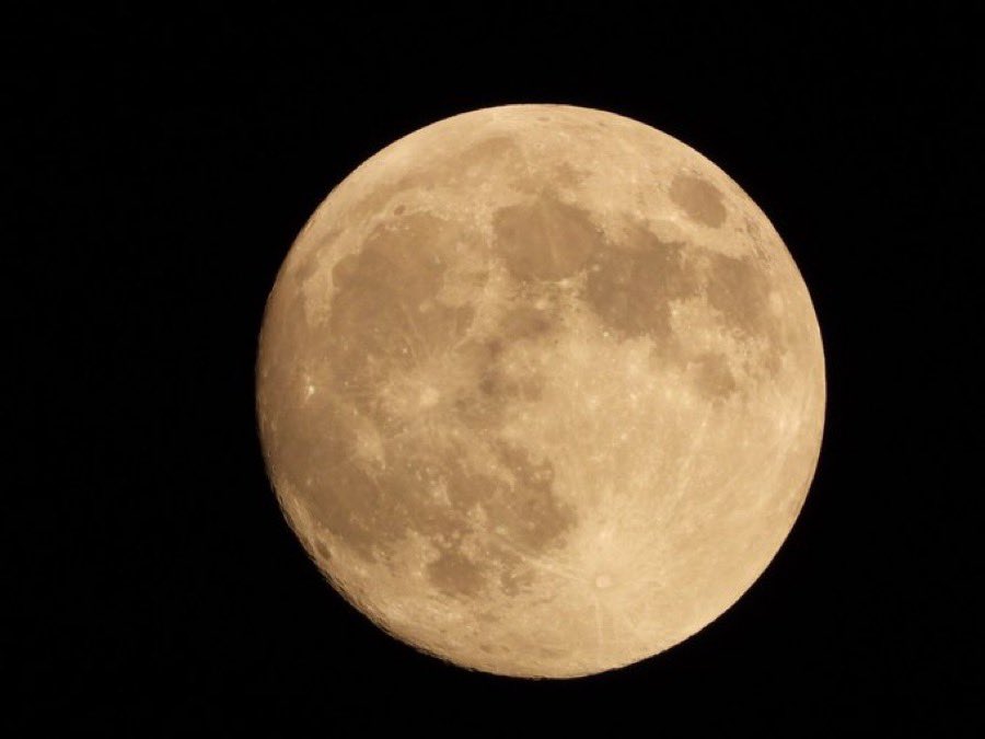 Antonio Sabato Jr tweet media