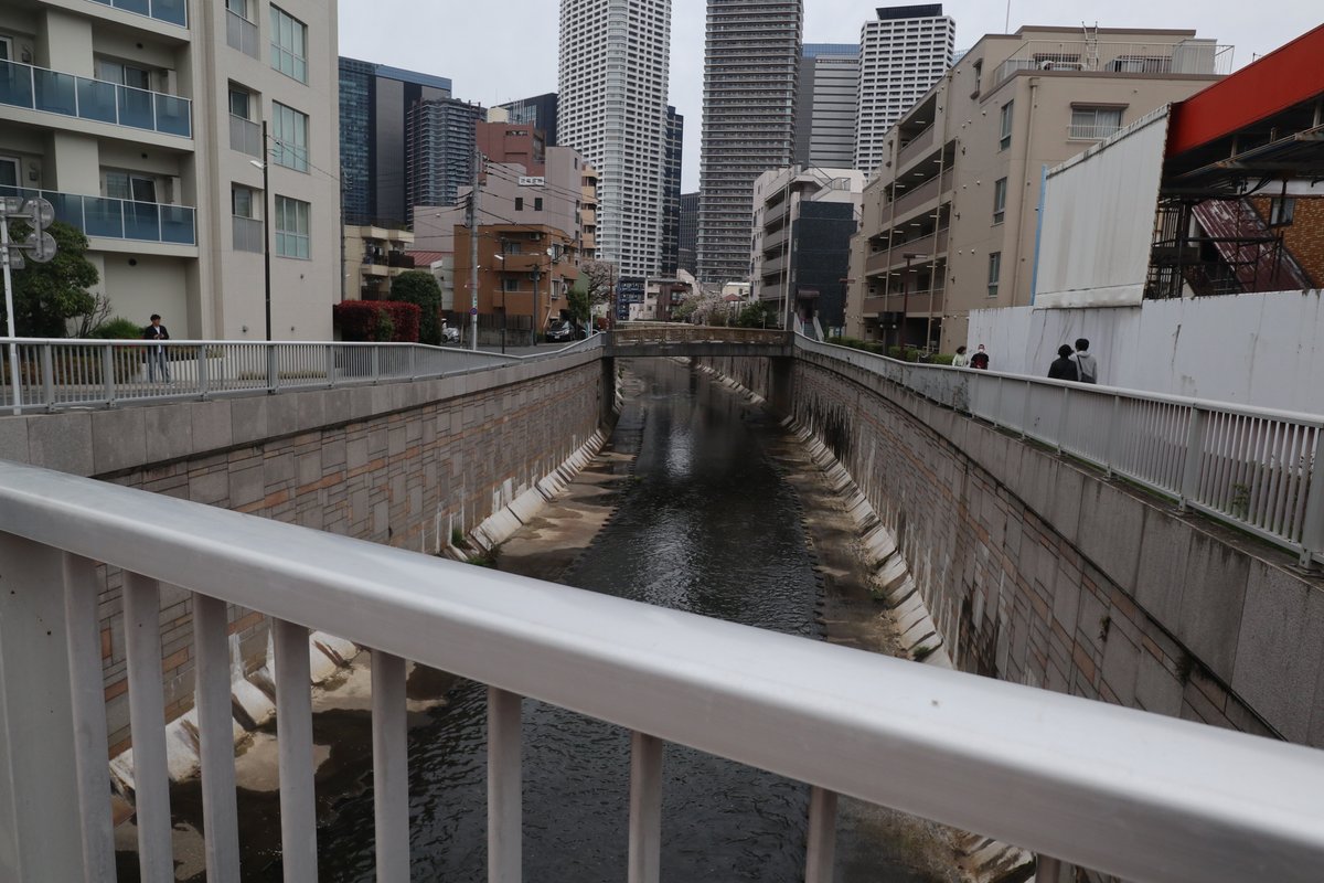 ライ太さん tweet media