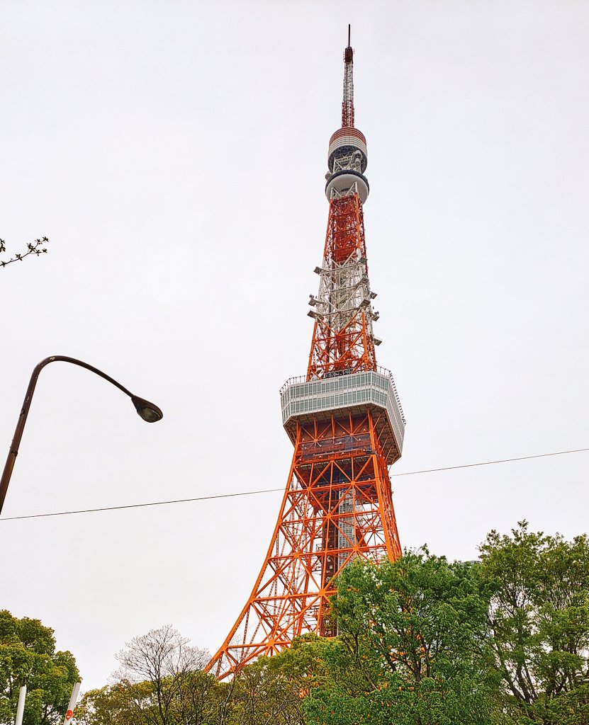 モナカ tweet media