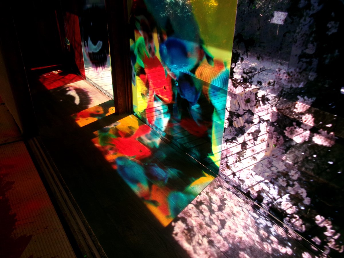 𝗆𝗈𝖼𝗈 tweet media