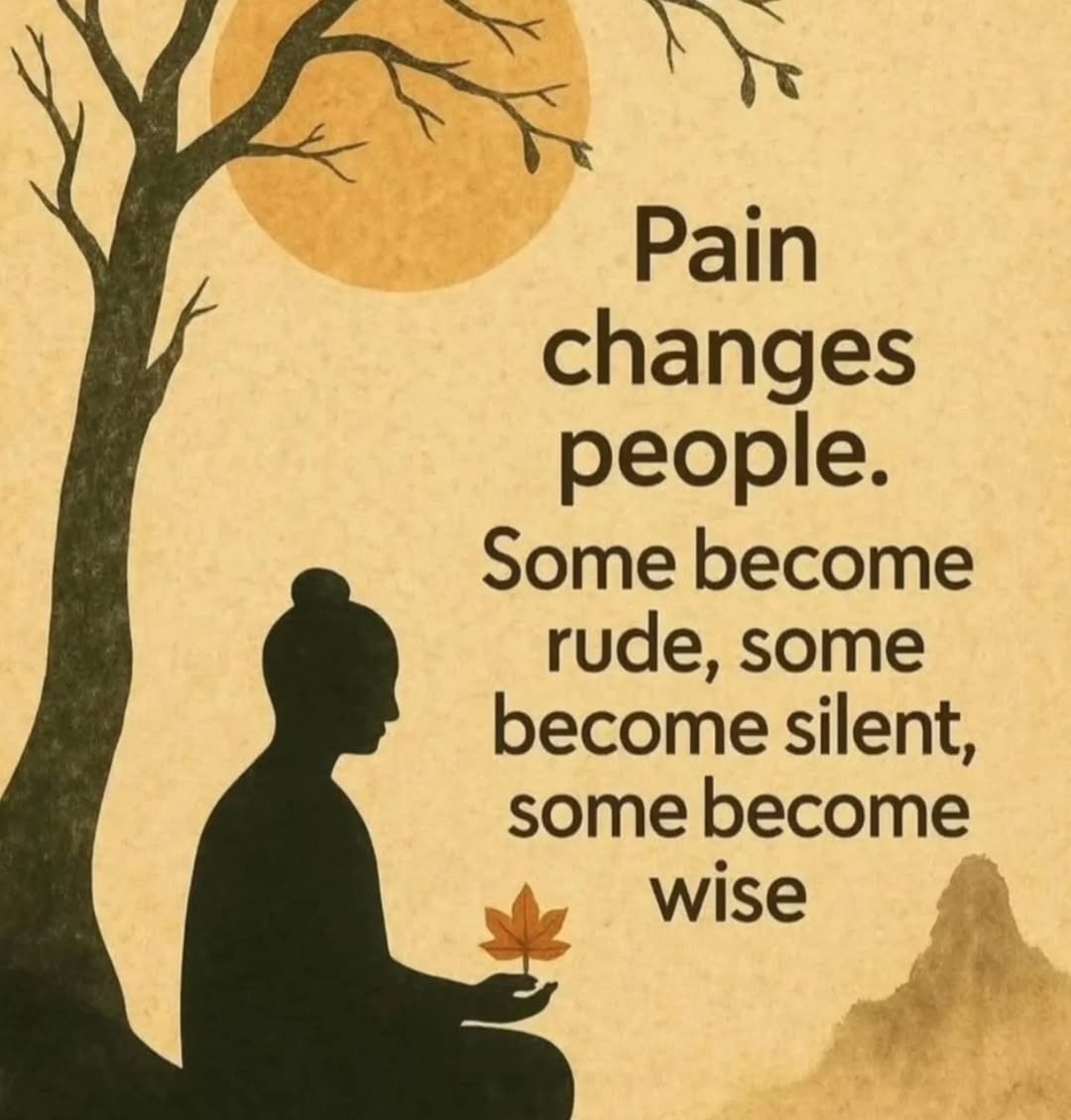 Seek Wiser tweet media