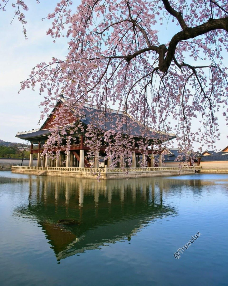 Seoul, South Korea🇰🇷