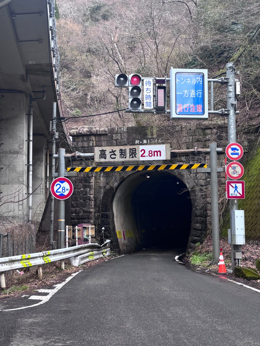 かもめ tweet media