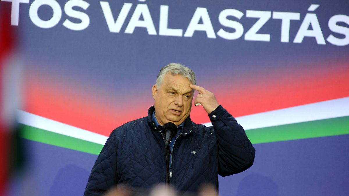 ntv Nachrichten tweet media