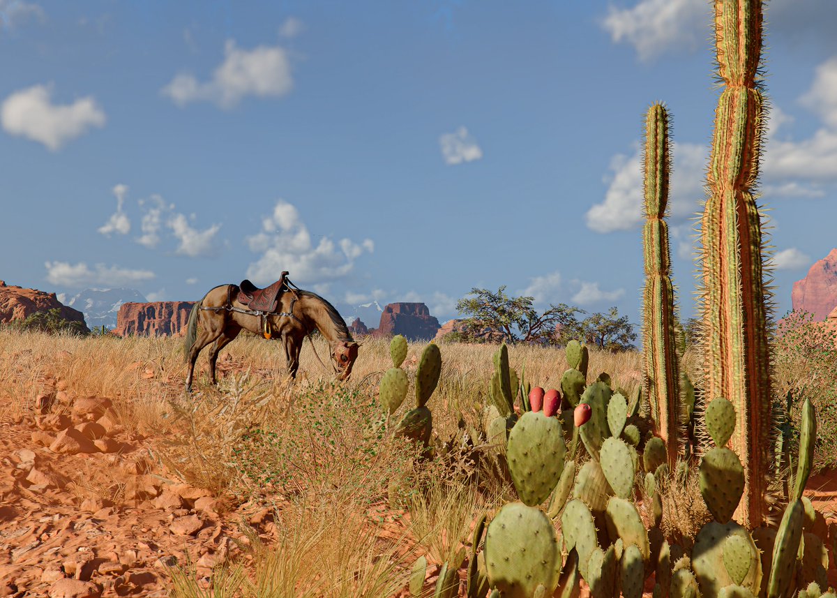 خالد المطيري tweet media